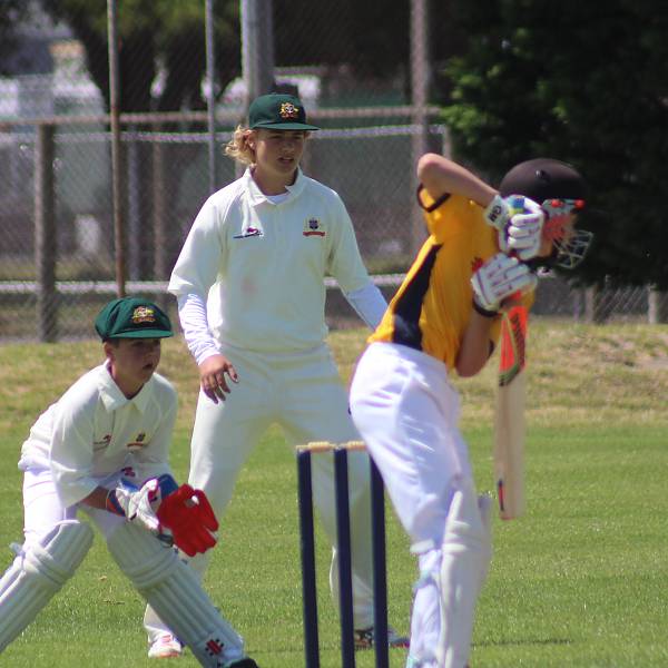 Action Vs Western Bay of Plenty